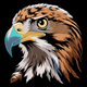 Realistic Eagle Head Embroidery Design, Instant Download