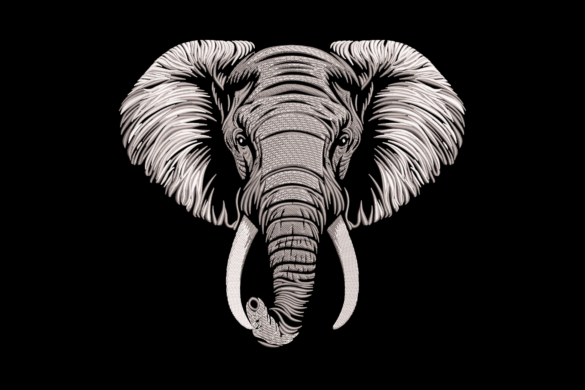 Realistic elephant head embroidery, frontal portrait, wide ears, ivory tusks, trunk down, charcoal and white stitching.