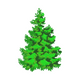 Realistic Evergreen Pine Tree Embroidery Design, Instant Download