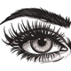 Realistic Eye Embroidery Design, Instant Download