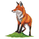 Realistic Fox Embroidery Design, Instant Download
