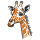 Realistic Giraffe Head Embroidery Design, Instant Download