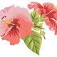 Realistic Hibiscus Flower Embroidery Design, Instant Download