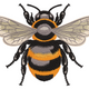 Realistic Honey Bee Embroidery Design, Instant Download