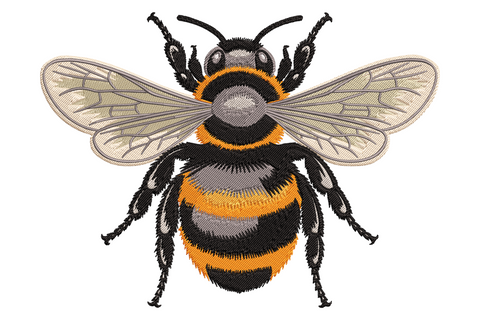Realistic honey bee embroidery, top-down view, translucent veined wings, fuzzy black and amber gold striped body.