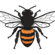 Realistic Honey Bee Embroidery Design, Detailed Wings Pattern, Instant Download