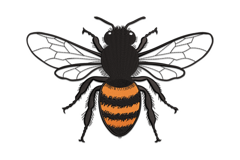 Realistic honey bee embroidery viewed from above with detailed transparent veined wings orange black striped abdomen fuzzy black thorax, naturalist design