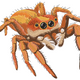 Realistic Jumping Spider Embroidery Design, Instant Download