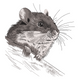 Realistic Mouse Embroidery Design, Woodland Animal Fine Art, Instant Download