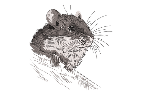 Realistic mouse embroidery in engraving style, charcoal and pale fur with long white whiskers and cross-hatch stitching.