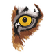 Realistic Owl Eye Embroidery Design, Wildlife Bird Pattern, Instant Download