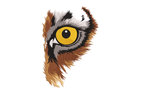 Realistic owl eye embroidery design, amber iris, black pupil, brown grey feather surround, 7 colors, 9 sizes