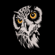 Realistic Owl Head Embroidery Design, Instant Download