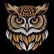 Realistic Owl Head Embroidery Design V2, Instant Download
