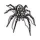 Realistic Patterned Spider Embroidery Design, Instant Download