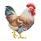 Realistic Rooster Embroidery Design, Farm Bird Machine Embroidery Pattern