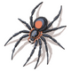 Realistic Spider Embroidery Design, Instant Download