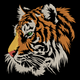 Realistic Tiger Head Embroidery Design, Wildlife Tiger Machine Embroidery Pattern, Instant Download
