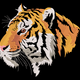 Realistic Wild Tiger Face Embroidery Design, Wildlife Portrait Pattern, Instant Download