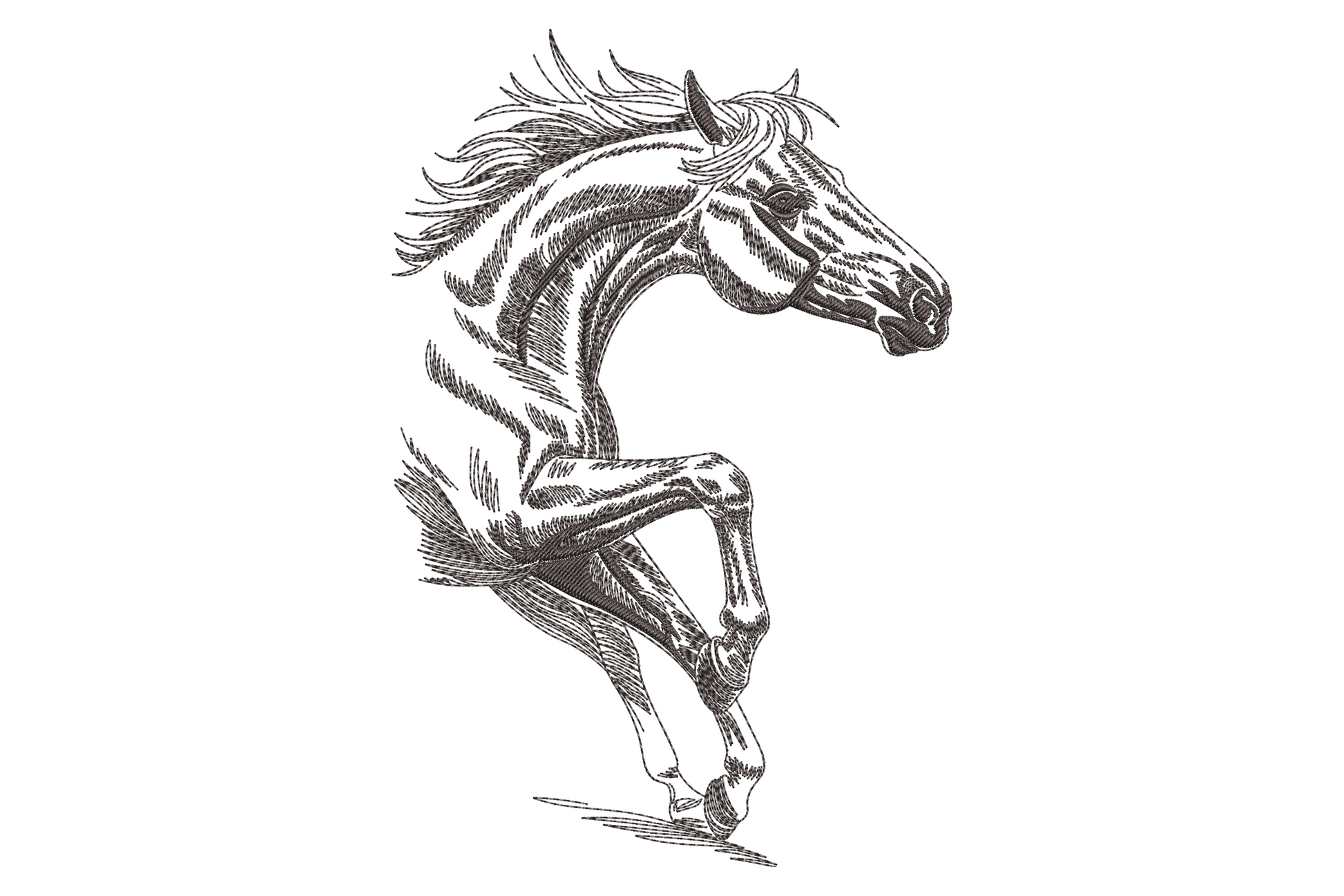 Rearing horse embroidery design in detailed pen-sketch style with crosshatch shading, flowing mane and tail, single charcoal colour.
