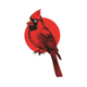 Red Cardinal Bird Embroidery Design, Instant Download
