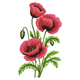 Red Poppy Flower Embroidery Design, Machine Embroidery Pattern, Instant Download