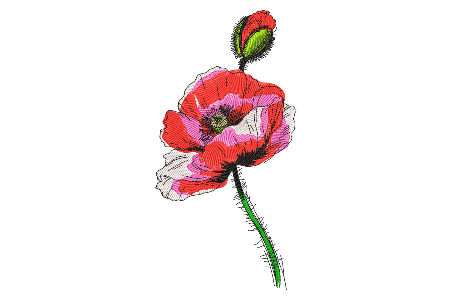 Red poppy flower embroidery design with watercolour pink wash crepe petals fuzzy seed bud and curving green stem in botanical sketch style
