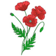 Red Poppy Flowers Embroidery Design, Instant Download