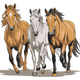 Running Wild Horses Embroidery Design, Equestrian Machine Embroidery Pattern, Instant Download