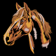 Rustic Country Horse Embroidery Design, Instant Download