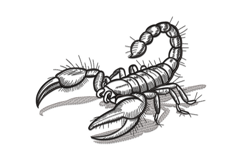Scorpion embroidery design with arched tail and spread claws, two-colour satin stitch bold graphic style