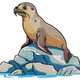 Sea Lion on Rocks Embroidery Design, Instant Download