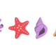 Sea Shells and Starfish Embroidery Design V2, Instant Download