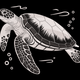 Sea Turtle Embroidery Design, Machine Embroidery Pattern, Instant Download