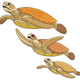 Sea Turtle Family Embroidery Design, Instant Download