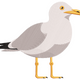 Seagull Bird Embroidery Design, Instant Download