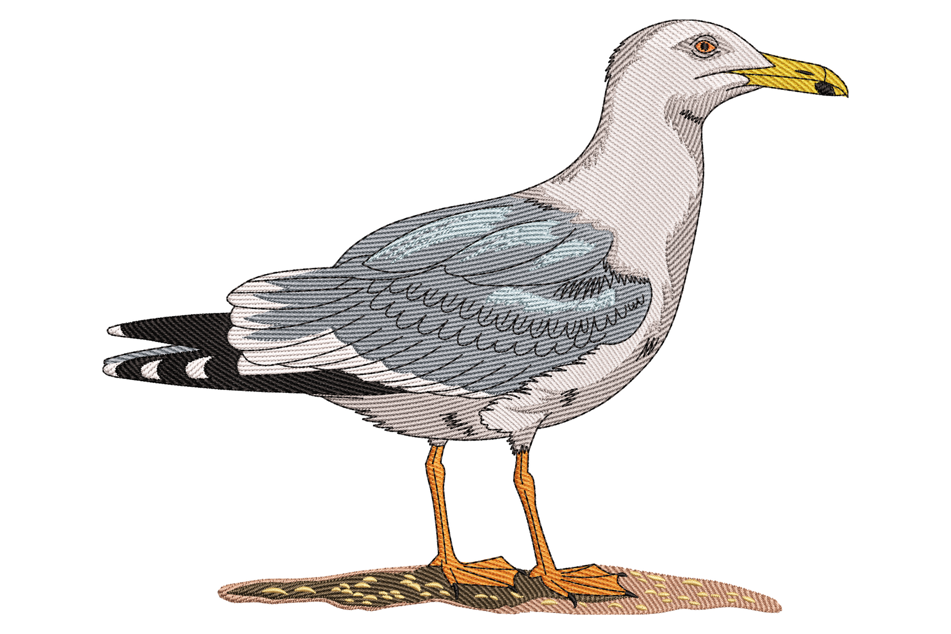 Detailed seagull embroidery design standing tall in profile on sandy rocks with white head, light grey wings, black wing tips, yellow beak and orange feet.