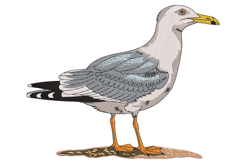 Detailed seagull embroidery design standing tall in profile on sandy rocks with white head, light grey wings, black wing tips, yellow beak and orange feet.
