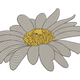 Simple Daisy Flower Embroidery Design, Instant Download