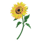 Sunflower Embroidery Design, Single Stem Bloom Pattern