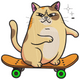 Skateboarding Cat Embroidery Design, Instant Download