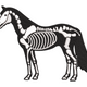 Skeleton Horse Halloween Embroidery Design, Instant Download
