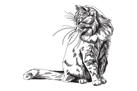 Sketch cat embroidery design, hand-drawn style sitting cat outline in single colour satin column stitching, minimalist line art on linen