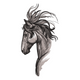Sketch Horse Head Embroidery Design, Equestrian, Instant Download