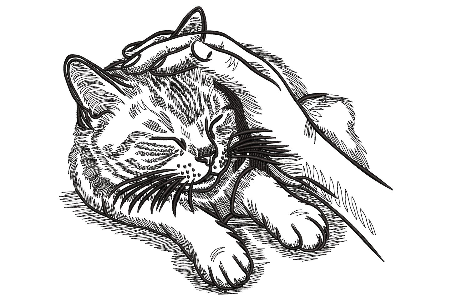 Sleeping cat embroidery design in single black thread, tabby cat curled with head on paws and feather alongside, fine ink-engraving sketch style.