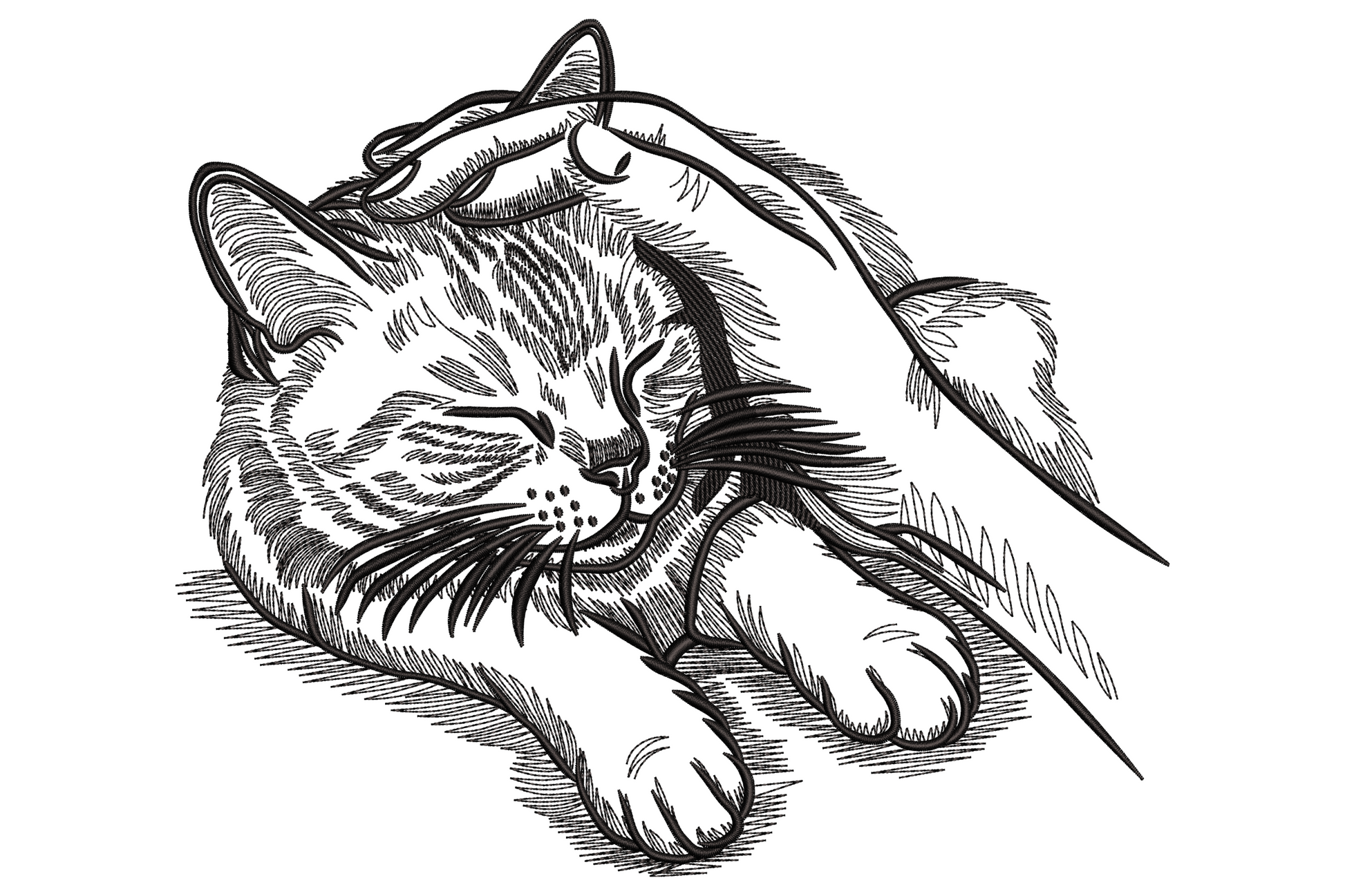 Sleeping cat embroidery design in single black thread, tabby cat curled with head on paws and feather alongside, fine ink-engraving sketch style.