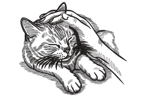 Sleeping cat embroidery design in single black thread, tabby cat curled with head on paws and feather alongside, fine ink-engraving sketch style.