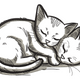Sleeping Kittens Embroidery Design, Instant Download