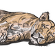 Sleeping Lioness Embroidery Design, Instant Download