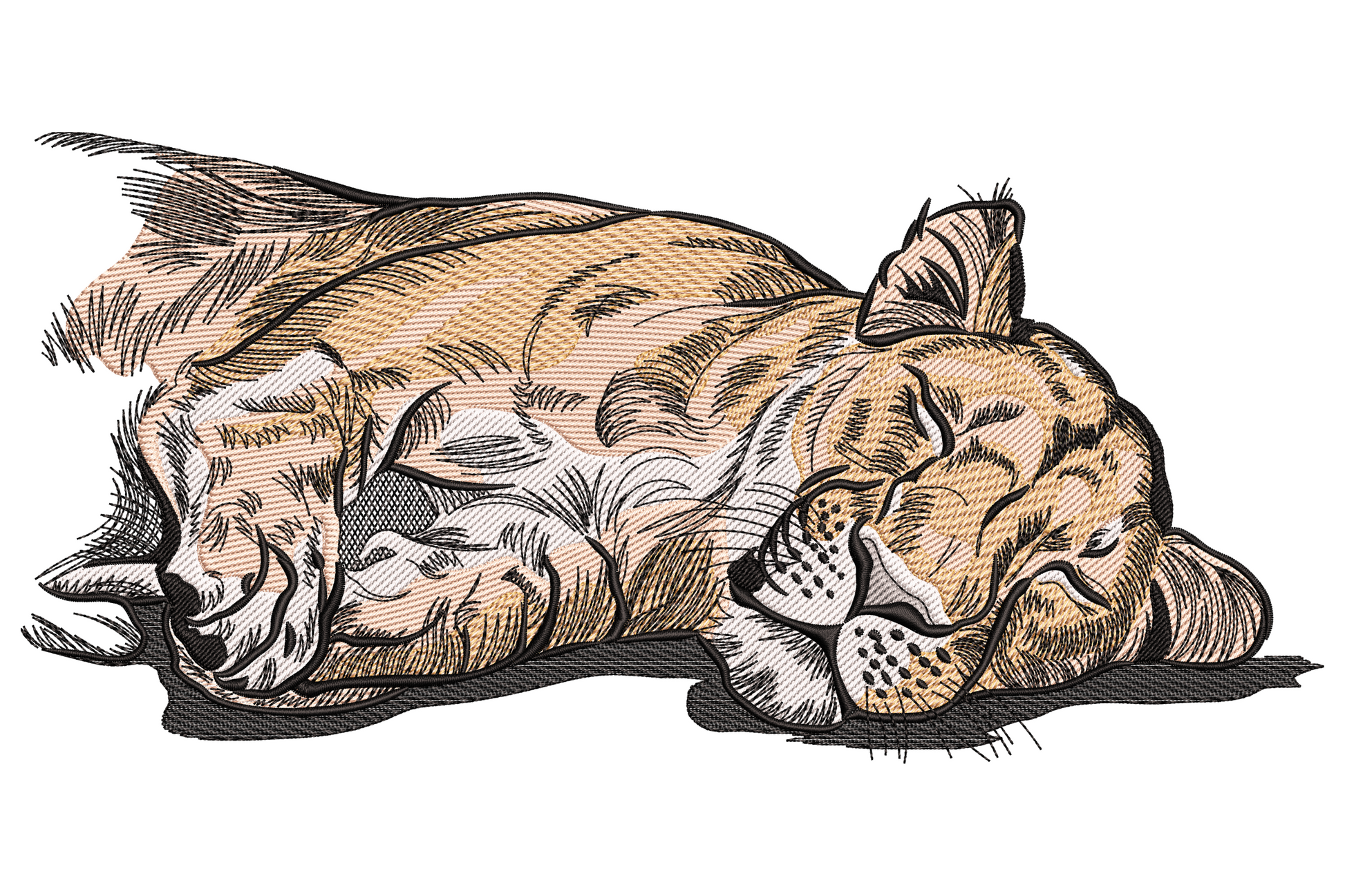 Lioness curled sleeping on her side with paws stretched and ears flopped back, realistic shaded wildlife embroidery design